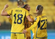 开云棋牌APP-关于南非篮球联赛卫生检测全面展开的信息