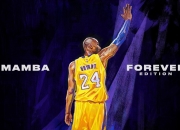 Kaiyuan Game Card-班凯罗彻底打爆防线，尼克斯稳稳拿下上海队