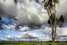 开云棋牌-澳大利亚网球队碾压德国网球队，费德勒惊艳世界