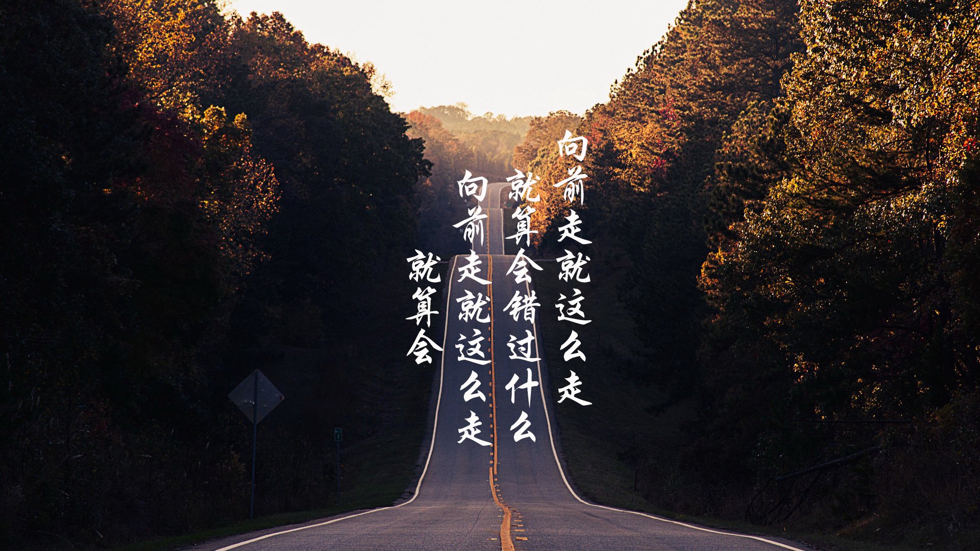 罗德里格斯的掌控艺术，阿尔及利亚如何击溃委内瑞拉，揭示比赛走势的隐形之手