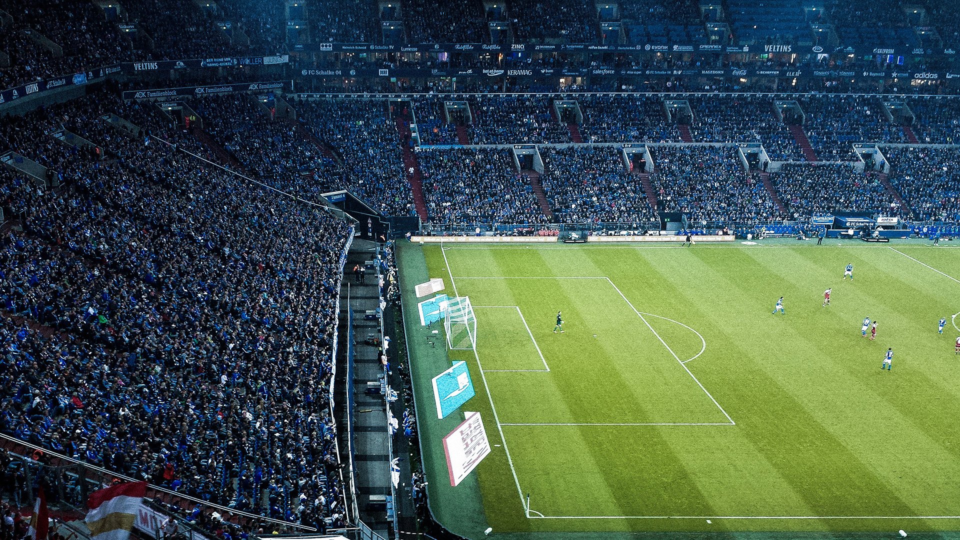 欧冠淘汰赛焦点战，雄鹿血拼灰熊